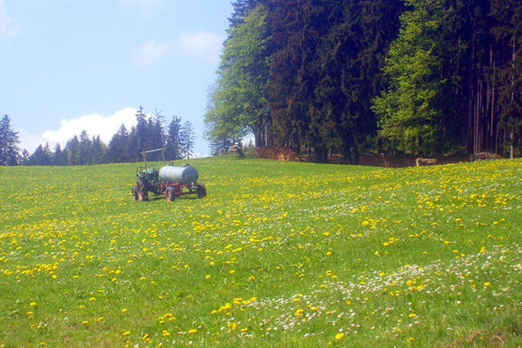 Martelerhof